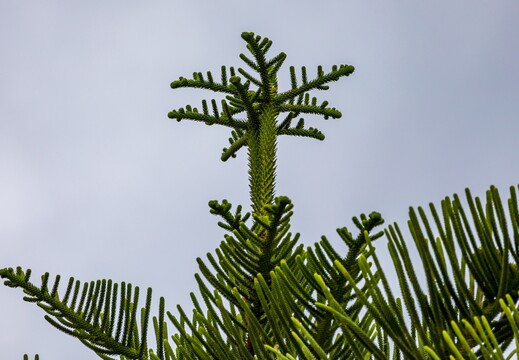 IMG 4686
