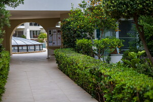 IMG 4700