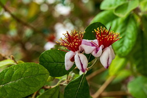 IMG 4708