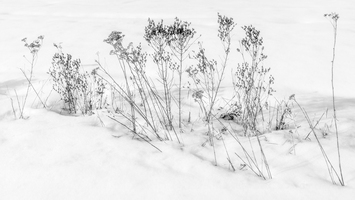 DSCF3764-3 b&amp;w 2560x1440