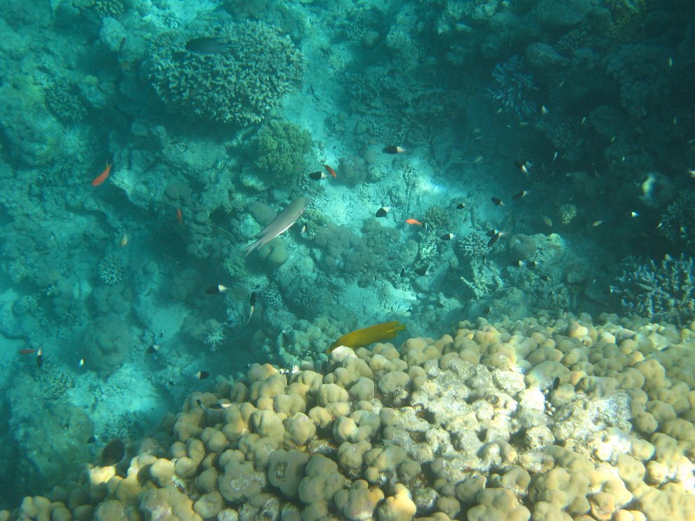 IMG_4215.JPG